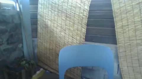 Snapshot of python974 chatting on 10, 3, 2026 Python online show from 10, 3, 2026