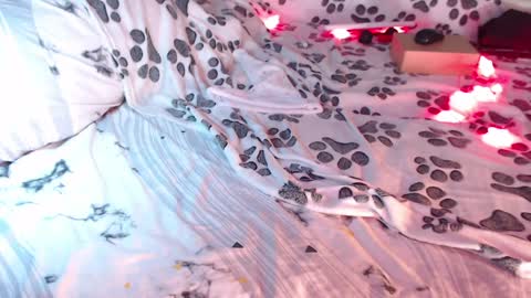 Snapshot of q_t_pie chatting on 3, 1, 2025 Lita rat online show from 3, 1, 2025