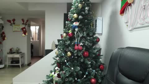  Zafiro  ILL BROADCAST UNTIL DECEMBER  Onlyfans  online show from 17, 11, 2025