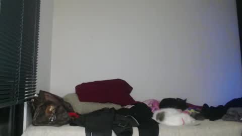 Snapshot of queennicky88 chatting on 2, 1, 2025 Nico online show from 2, 1, 2025