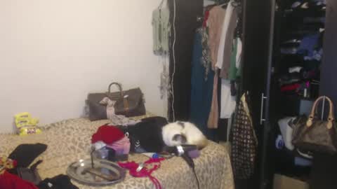 Snapshot of queennicky88 chatting on 13, 2, 2025 Nico online show from 13, 2, 2025