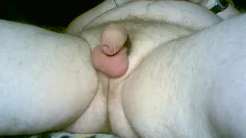 Dumbo online show from 12, 2, 2026