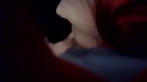 rago1994 online show from 5, 10, 2025