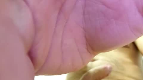 Snapshot of raidehot chatting on 21, 10, 2025 raidehot online show from 21, 10, 2025