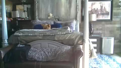 Randy8inbater online show from 18, 1, 2026