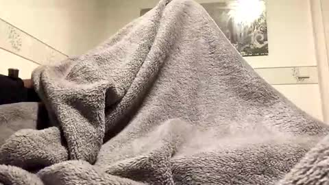 ranj00800 online show from 24, 11, 2025