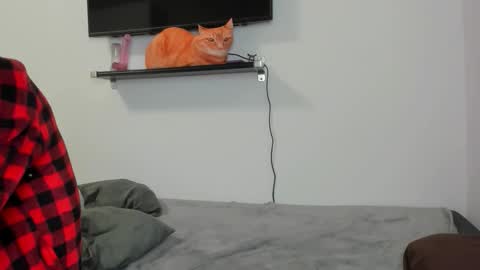 Raveneusbiter online show from 10, 2, 2026