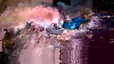 Who knows online show from 3, 2, 2026