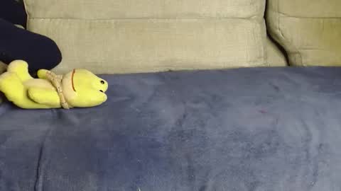 Snapshot of raycatt chatting on 14, 3, 2026 Ray online show from 14, 3, 2026