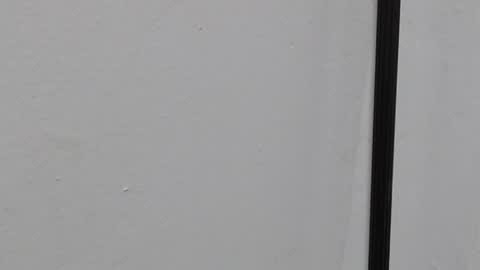 Snapshot of raycatt chatting on 22, 3, 2026 Ray online show from 22, 3, 2026