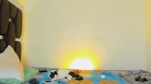 Rayn online show from 5, 11, 2025