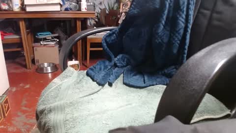 Ray online show from 1, 1, 2025