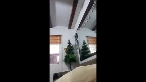 rcellboom online show from 13, 1, 2026