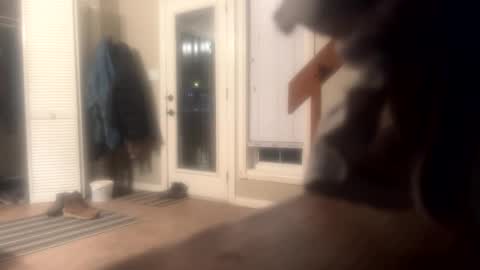 Mr Nice online show from 10, 12, 2024