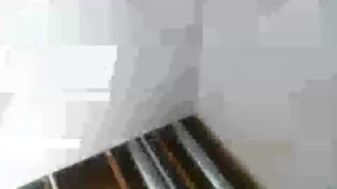 Mr Nice online show from 6, 1, 2025