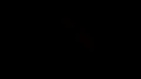 Mr Nice online show from 6, 1, 2025