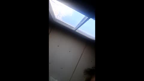 Snapshot of realisararebreed chatting on 21, 12, 2025 realisararebreed online show from 21, 12, 2025