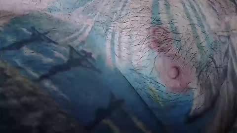 realrubpirate online show from 12, 1, 2026