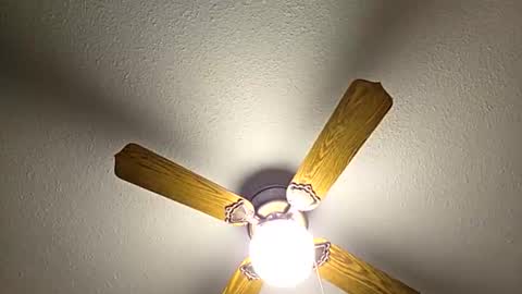 red24devils online show from 2, 2, 2026