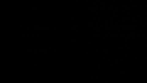 Neta online show from 22, 10, 2025