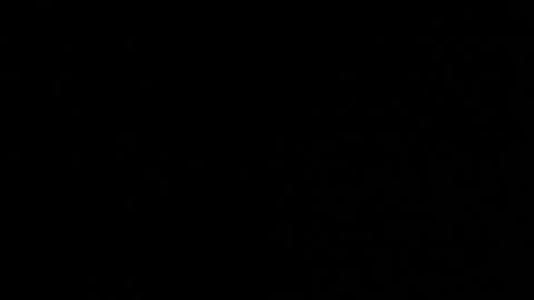 Neta online show from 24, 10, 2025