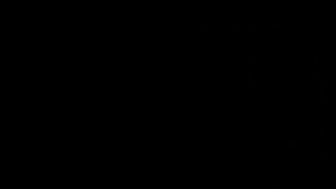 Neta online show from 25, 10, 2025