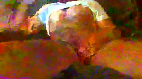 Snapshot of redtxchopper chatting on 18, 11, 2025 redtxchopper online show from 18, 11, 2025