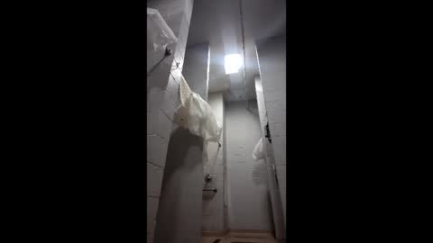 reeddave654 online show from 25, 2, 2026