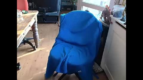 relaxyio online show from 10, 3, 2025