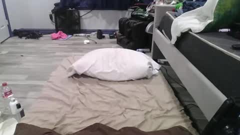 remshotdt online show from 24, 2, 2025