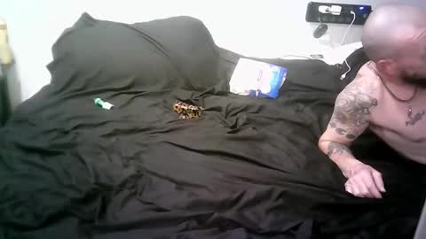 remshotdt online show from 6, 3, 2026