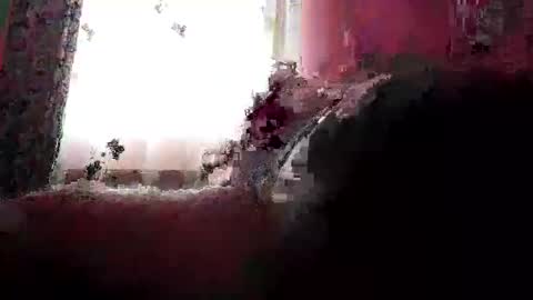 remus60 online show from 23, 2, 2026