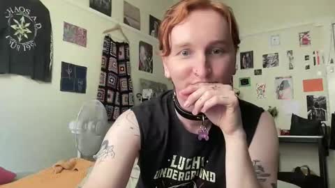 bambi online show from 20, 3, 2026