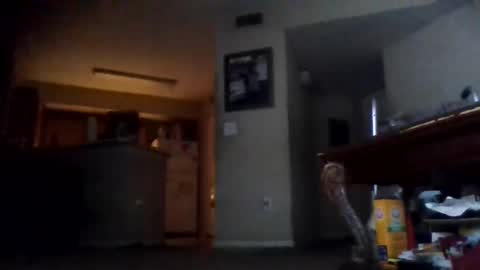 ribault23 online show from 11, 1, 2025