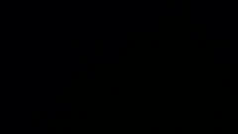 Tina online show from 31, 1, 2026