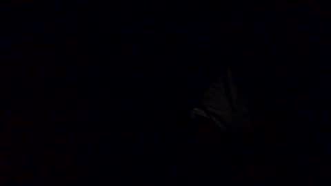 Babu online show from 12, 10, 2025