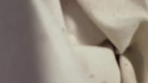 rickeyjess online show from 22, 11, 2025