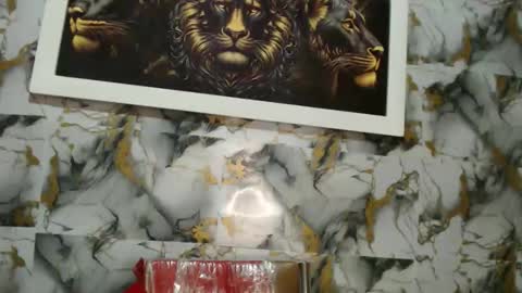 rigel online show from 18, 11, 2025