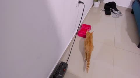 Rihanna hotx online show from 21, 12, 2025