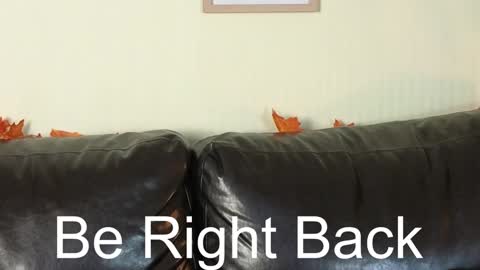 Alice online show from 13, 12, 2024