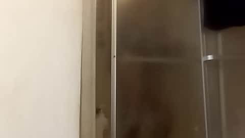 Snapshot of robertsaiz4200 chatting on 24, 11, 2025 robertsaiz4200 online show from 24, 11, 2025