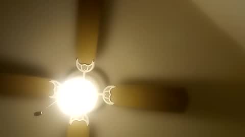 Snapshot of robertsaiz4200 chatting on 20, 12, 2025 robertsaiz4200 online show from 20, 12, 2025