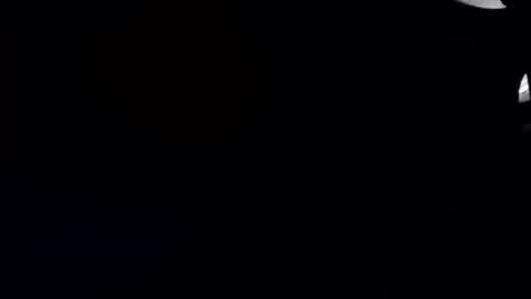 R online show from 14, 11, 2025