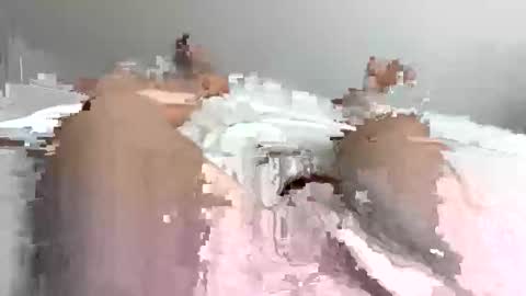 rock85810 online show from 13, 10, 2025