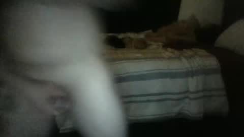 rockharder000 online show from 23, 12, 2024