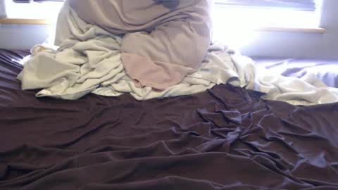 Snapshot of rockhardoldfart chatting on 10, 1, 2025 Cum in your mouth online show from 10, 1, 2025