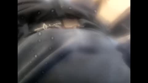 Snapshot of rollino83 chatting on 9, 11, 2025 rollino83 online show from 9, 11, 2025