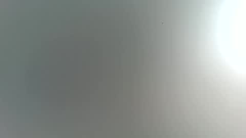 Trinked online show from 20, 2, 2026