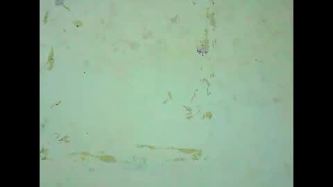 Snapshot of rosie6601 chatting on 21, 3, 2026 rosie6601 online show from 21, 3, 2026