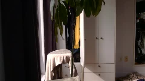 Snapshot of rosscollab chatting on 2, 3, 2026 RossCollab online show from 2, 3, 2026